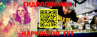 jwh Кинель